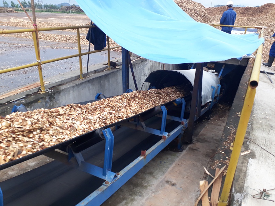 Cân băng tải